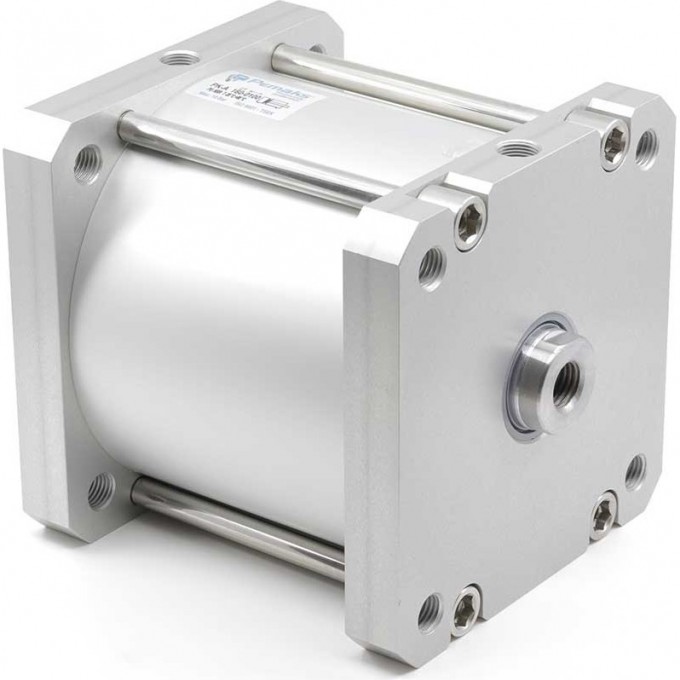 Пневмоцилиндр PEMAKS 2,72 5,0 мм PKA-125-005