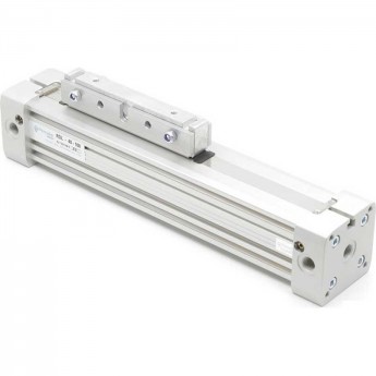 Бесштоковый пневмоцилиндр RDL-0025-0800 PEMAKS 25,0 мм сжатый воздух